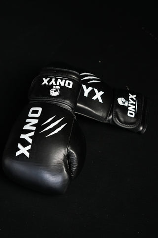 Boxhandschuhe Schwarz
